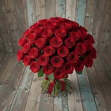Букет 55 Красных роз Фридом #REPLACE_PRED# Лесосибирске