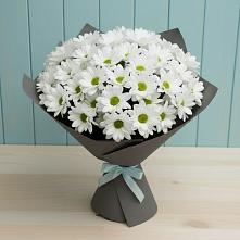 Букет цветов из:  Хризантемы #REPLACE_PRED# Лесосибирске