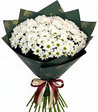 Букет цветов из:  Хризантемы #REPLACE_PRED# Лесосибирске