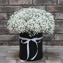 Цветочная композиция из Гипсофила в шляпной коробке в Лесосибирске