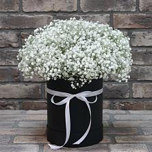 Цветочная композиция из Гипсофила в шляпной коробке в Лесосибирске